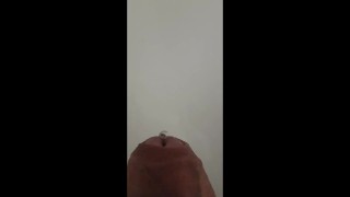piss compilation 2 compilacion mear