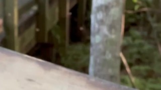 A woman saw me sucking dick so she turned around