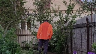 Evening in the garden