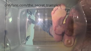 Cock and balls trampling underglass 4 with cumshot (preview)