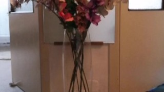 Attack in front of the mirror....