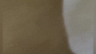 سلمى السلاوية الحواية chouha hwa maroc sex maroc nik mghribi hwa nar🔥🔥🔥