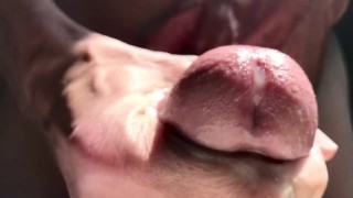 Triple Glaze from a Mushroom in the Sun