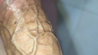 Polla latina con venas pronunciadas y ganas de follar