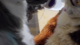 This Big Kitty Fucks His Wife Before Shower - Maho & Xytan