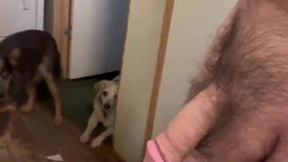 Cock and balls check first thing this morning 😈🫂🤤