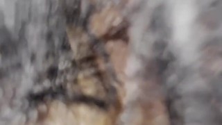 Michaela McKenzie rides johnholmesjunior's big huge massive hard white cock