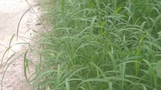 Cute girl sucking dick in public in popular spring park