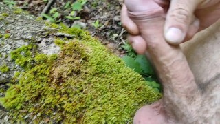 masturbation in the forest on a log