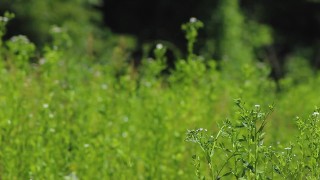 Young athletic guy jerking off outside