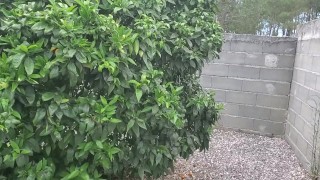 Naked in my backyard. No cum.