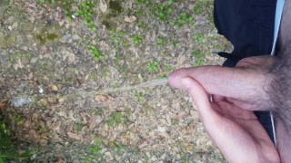 Taking a leak in a public park.