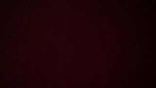 Bull makes Cub SOUND off