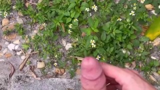It’s more fun to pee this way