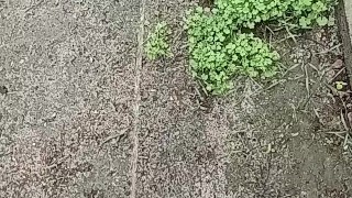 Back with another one