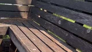 Quick public blowjob on a pier real amateur video