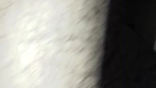 Svakom Sam neo toy
