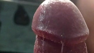 Venida veloz, mis huevos explotaban!