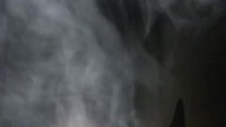 TikTok nude crawl