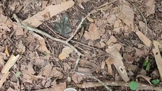 Outdoor public piss at the golf course