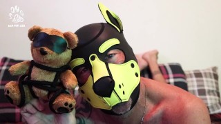 Pup get's a New Bear!