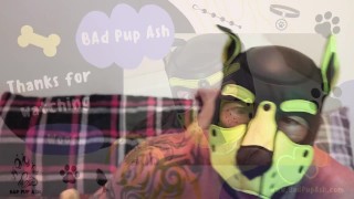Pup get's a New Bear!