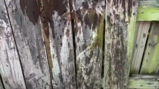 Boner peeing while jerking off on a fence outside