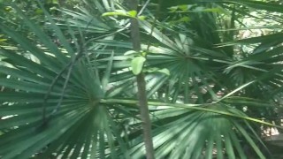 Cute girl got caught jacking off hot guy in the middle of the woods on Spring Break