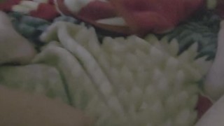 Dingos Lunch Special | ToyTime