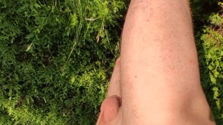 Exhibitionist walk