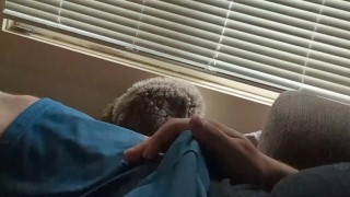 Hairy bear strokes on the couch and blows a sticky mess