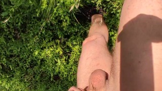 Best cock in the forest