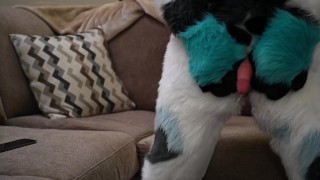 Milking my Dragon Cock for Milk
