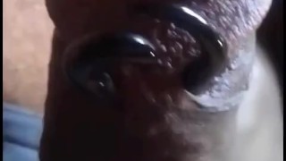 Watch Me Grow For You Part 1
