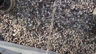 Solo Male Pissing Compilation From My June 2023 Videos