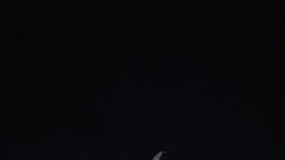 Chubby guy, pleasures himself, creamy at the end