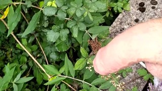 El Chico Guarro Se Puso a Mear en el Parque y Froto Su Polla Grande Con Una Linda Flor 🌺