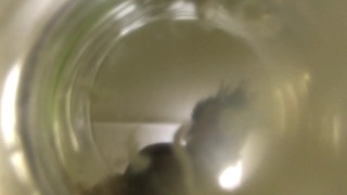 Twink cums into cup of water ( inside glass view ) FLOATING SPERM