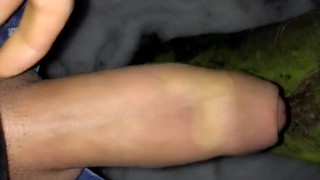 5th cum that day - on the tree