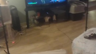 Filming Thick White Girl In Her Dress Playing Video Games