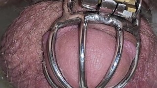 Learning to sit to pee! Chastity cage Femdom!