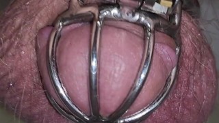 Learning to sit to pee! Chastity cage Femdom!