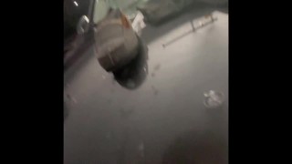 5 day load on hood!! Girthy dick, thick load