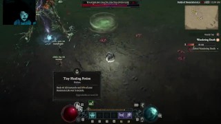 Doing a World Boss with a drastically under leveled Necromancer: SPOILER it does not go well