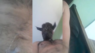 copilado de un perro esclavo bdsm