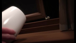 The Genesis Order - All scenes sex JUDY