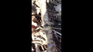 Touching and tasting own cum from the ground public