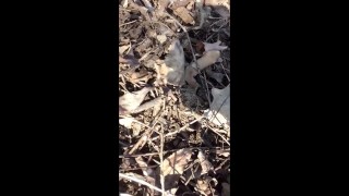 Touching and tasting own cum from the ground public