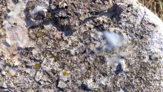 Piss on my cum in the abandoned place