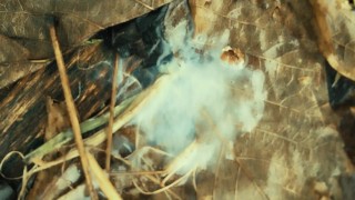 Close up precum and cum from big uncut cock in a cruising area